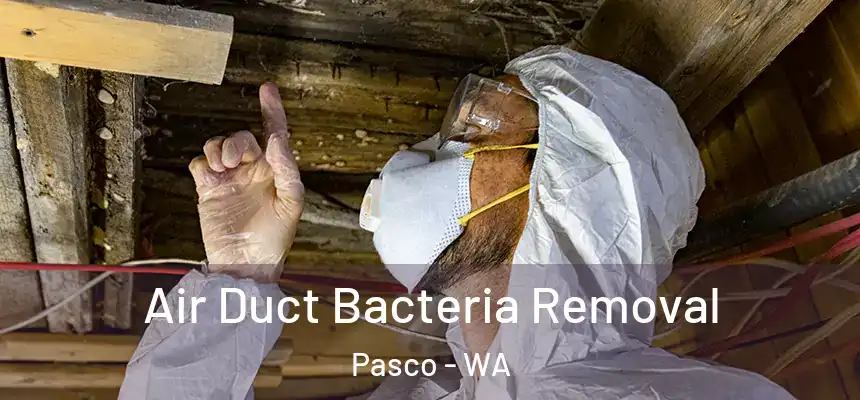 Air Duct Bacteria Removal Pasco - WA