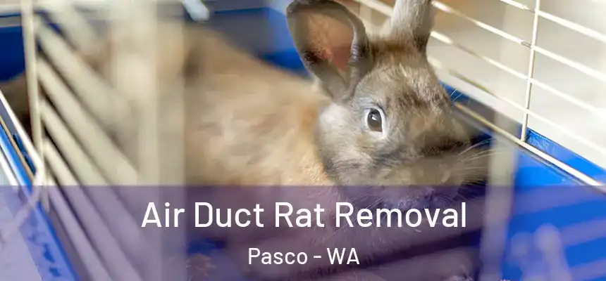  Air Duct Rat Removal Pasco - WA