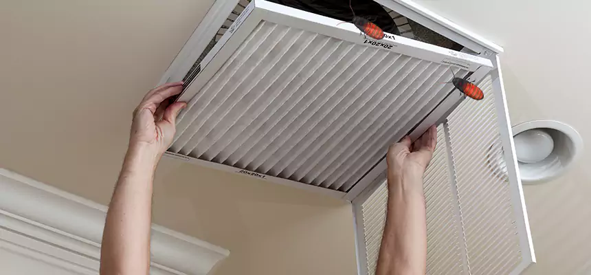 Preventive Cockroach-Proofing for Ducts in Pasco