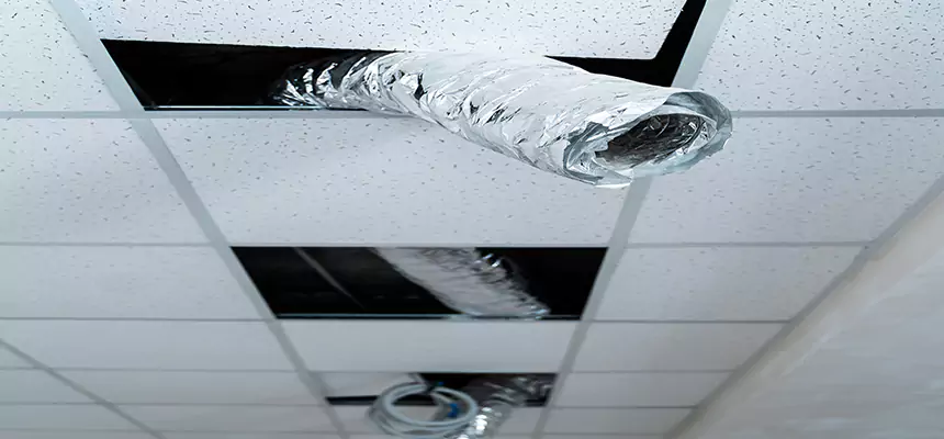 Our Air Duct Pet Hair Removal Services in Pasco, WA