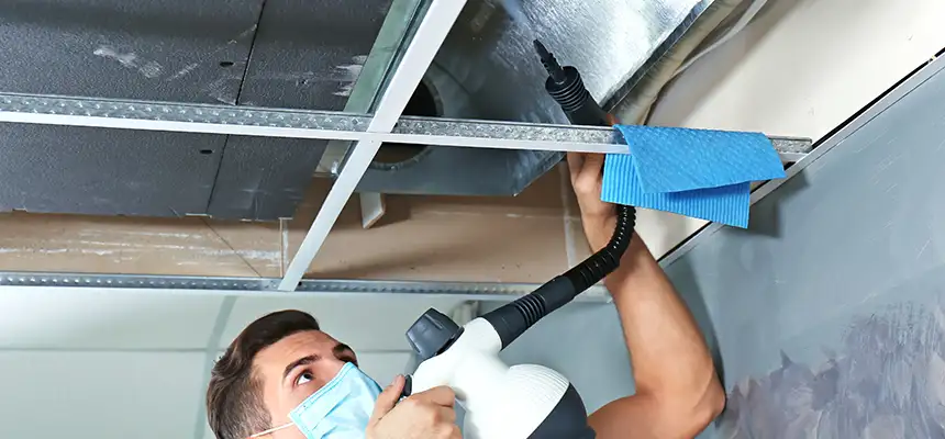 Our Air Duct Rodent Removal Services in Pasco, WA