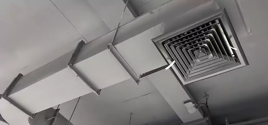 Restorative Allergy Relief Vent Cleaning – Coil, Blower & Housing Detail in Pasco