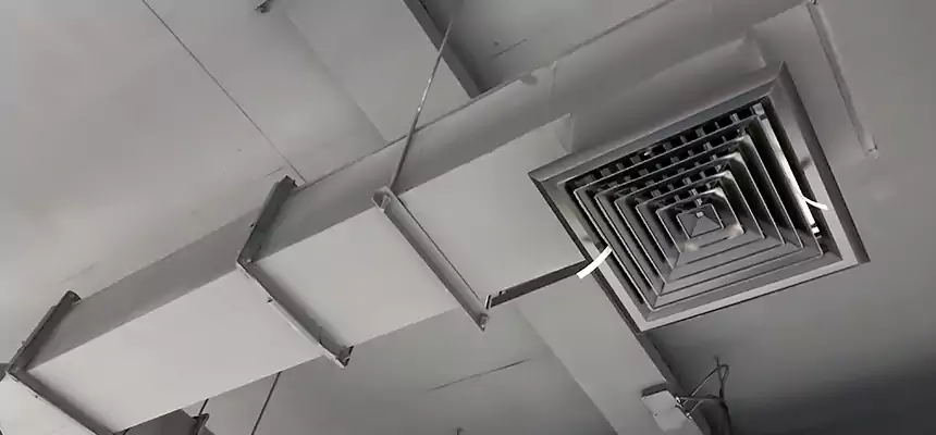 Our Rodent Droppings In Vents Services in Pasco, WA