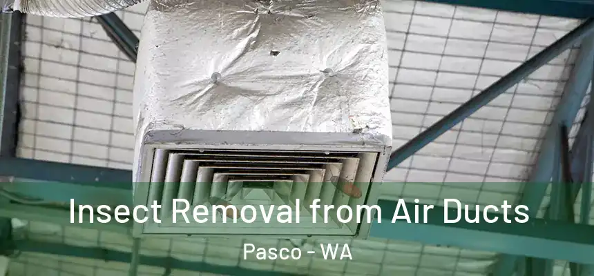  Insect Removal from Air Ducts Pasco - WA