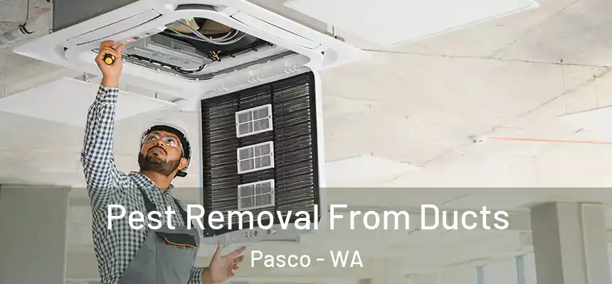 Pest Removal From Ducts Pasco - WA