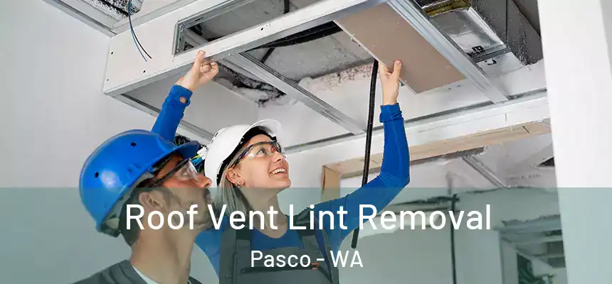  Roof Vent Lint Removal Pasco - WA