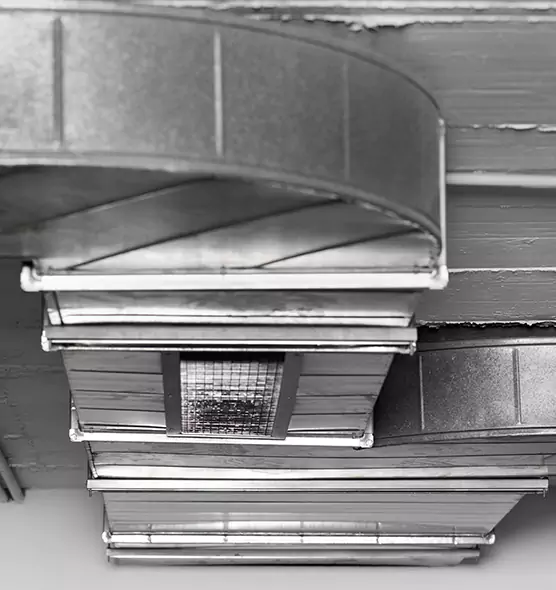 Professional Air Duct Pet Hair Removal in Pasco, WA