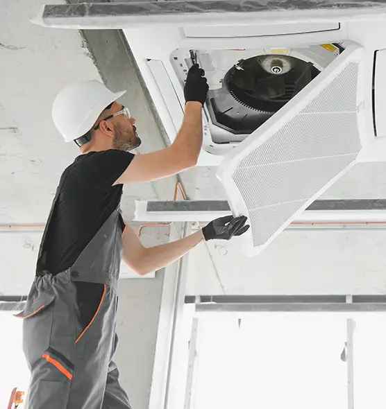 About Air Duct Rodent Removal in Pasco, WA