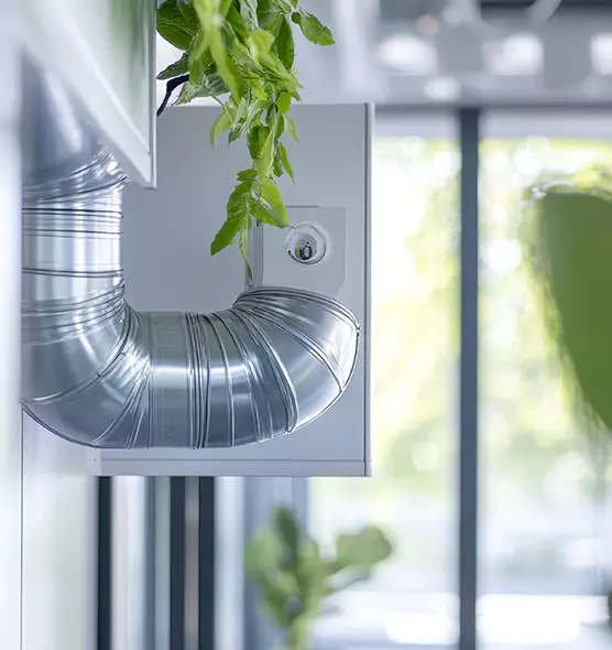 Professional Eco-Safe Dryer Vent Cleaning in Pasco, WA