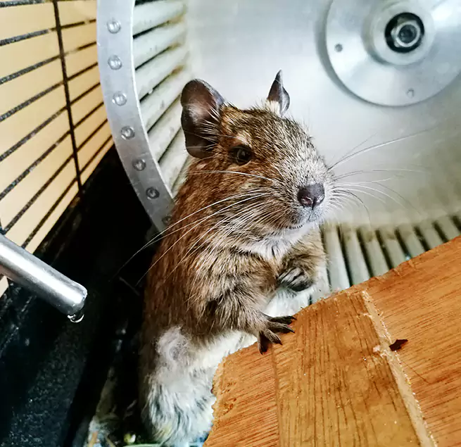 Why Homeowners & Businesses Trust Us Pasco, WA?