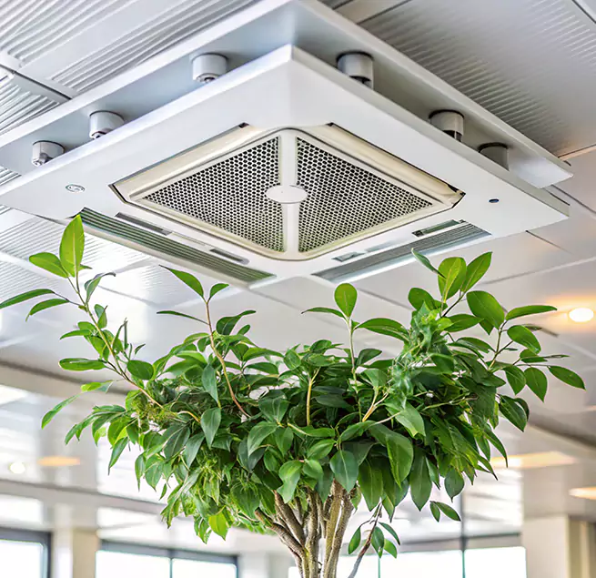 Why Homeowners & Businesses Trust Us in Pasco, WA?