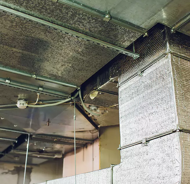 Why Homeowners & Businesses Trust Us in Pasco, WA?